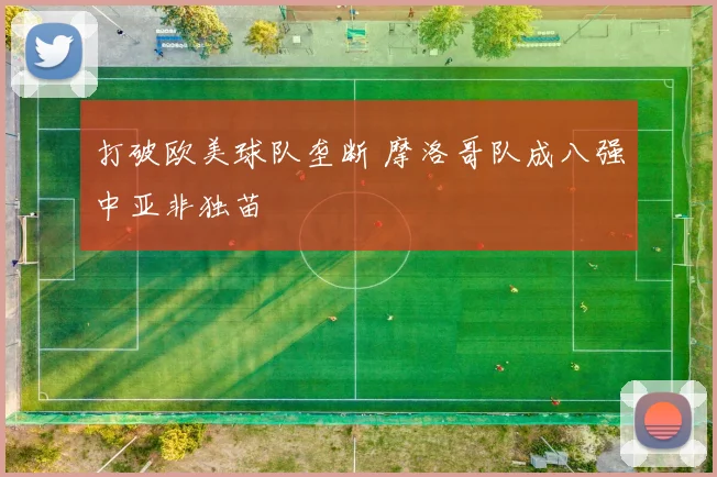 打破欧美球队垄断 摩洛哥队成八强中亚非独苗