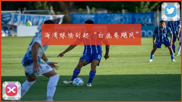 海湾球场刮起“白鹿巷飓风”