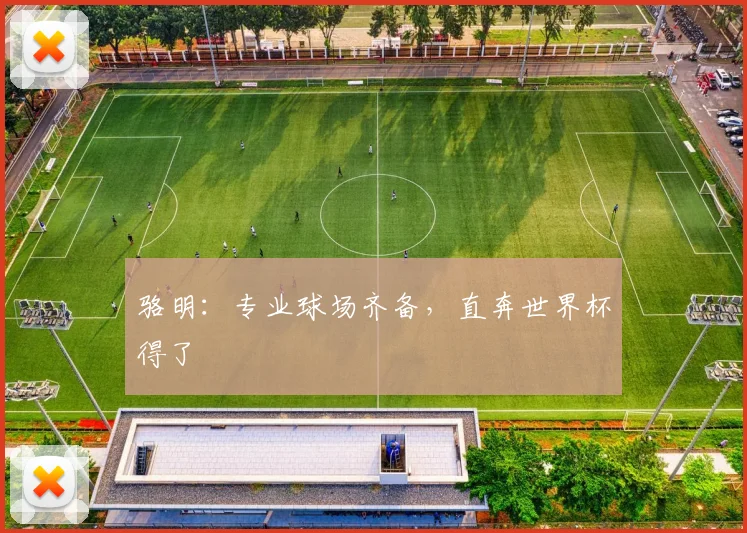 骆明：专业球场齐备，直奔世界杯得了