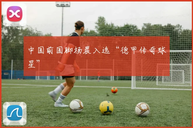 中国前国脚杨晨入选“德甲传奇球星”